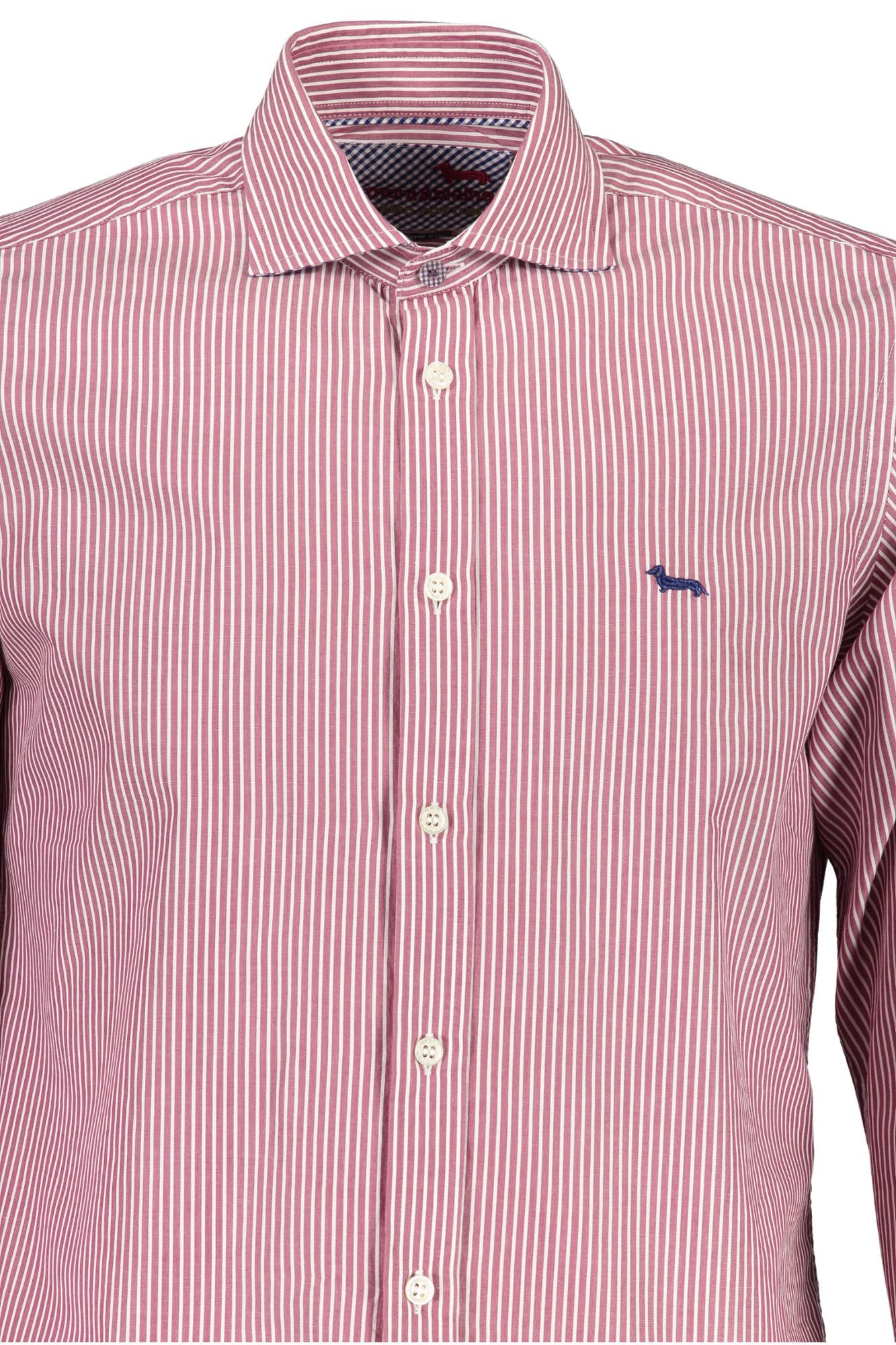 Harmont & Blaine Purple Shirt - Fizigo