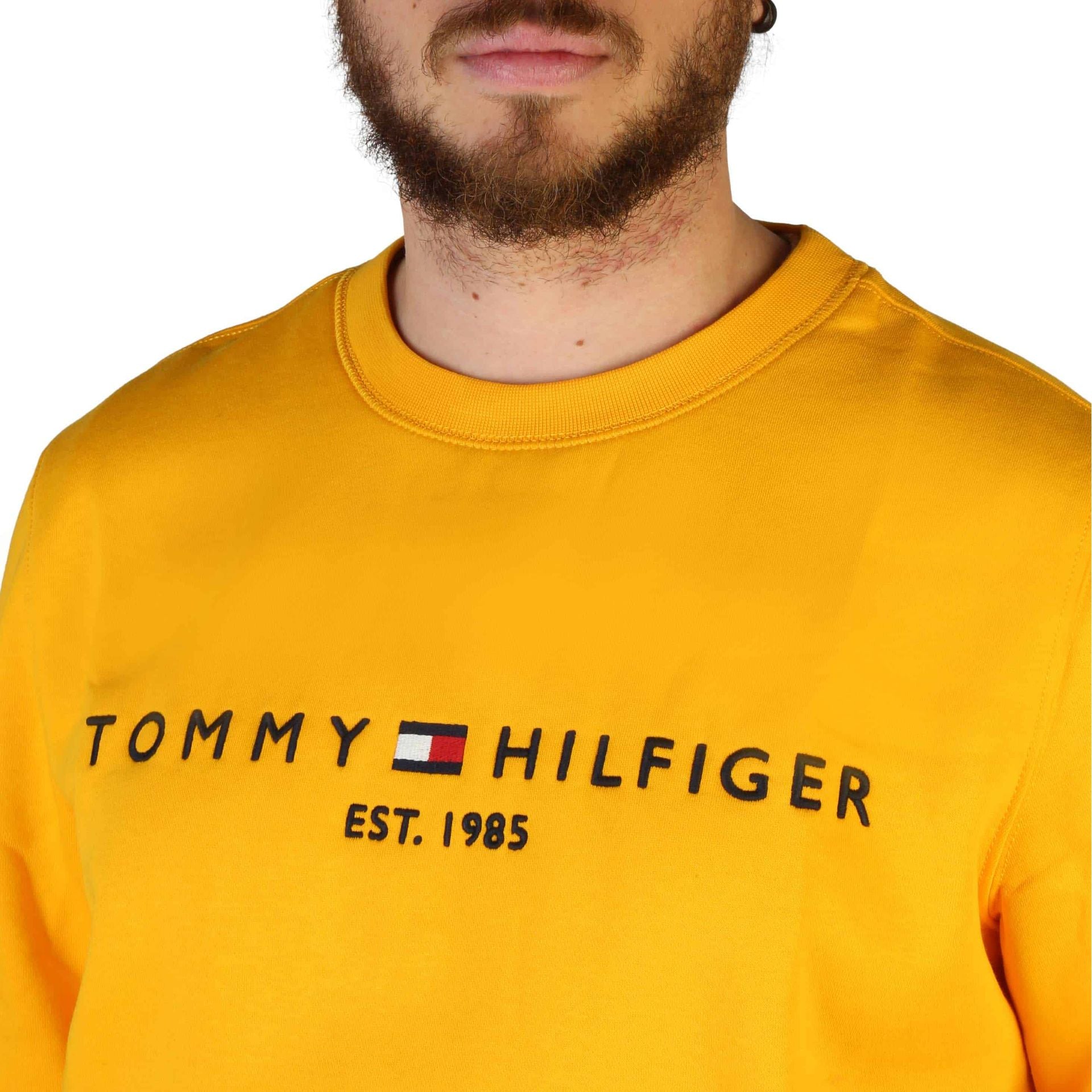 Tommy Hilfiger Sweatshirts - Fizigo